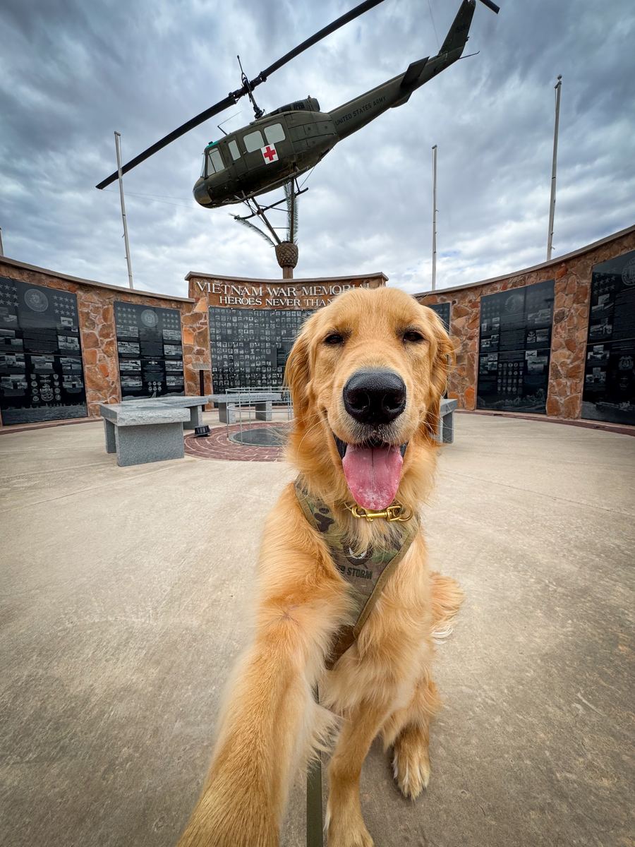 Validus Canis working dogs